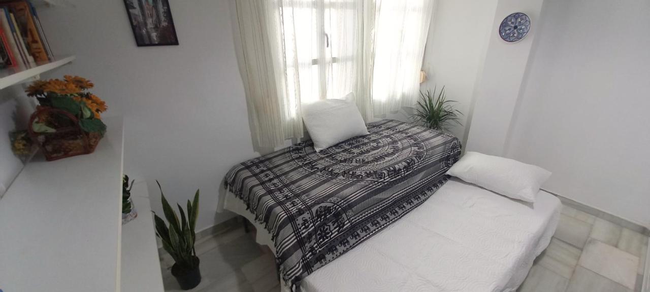 Apartamento Patio Azul Daire Córdoba Dış mekan fotoğraf